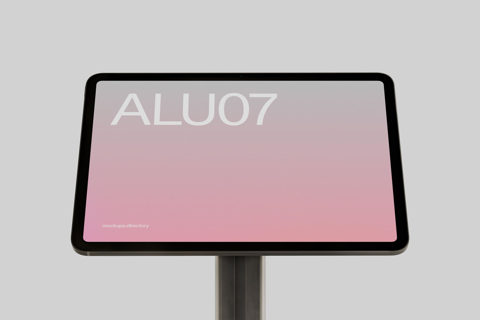 ALU07 — iPad Pro