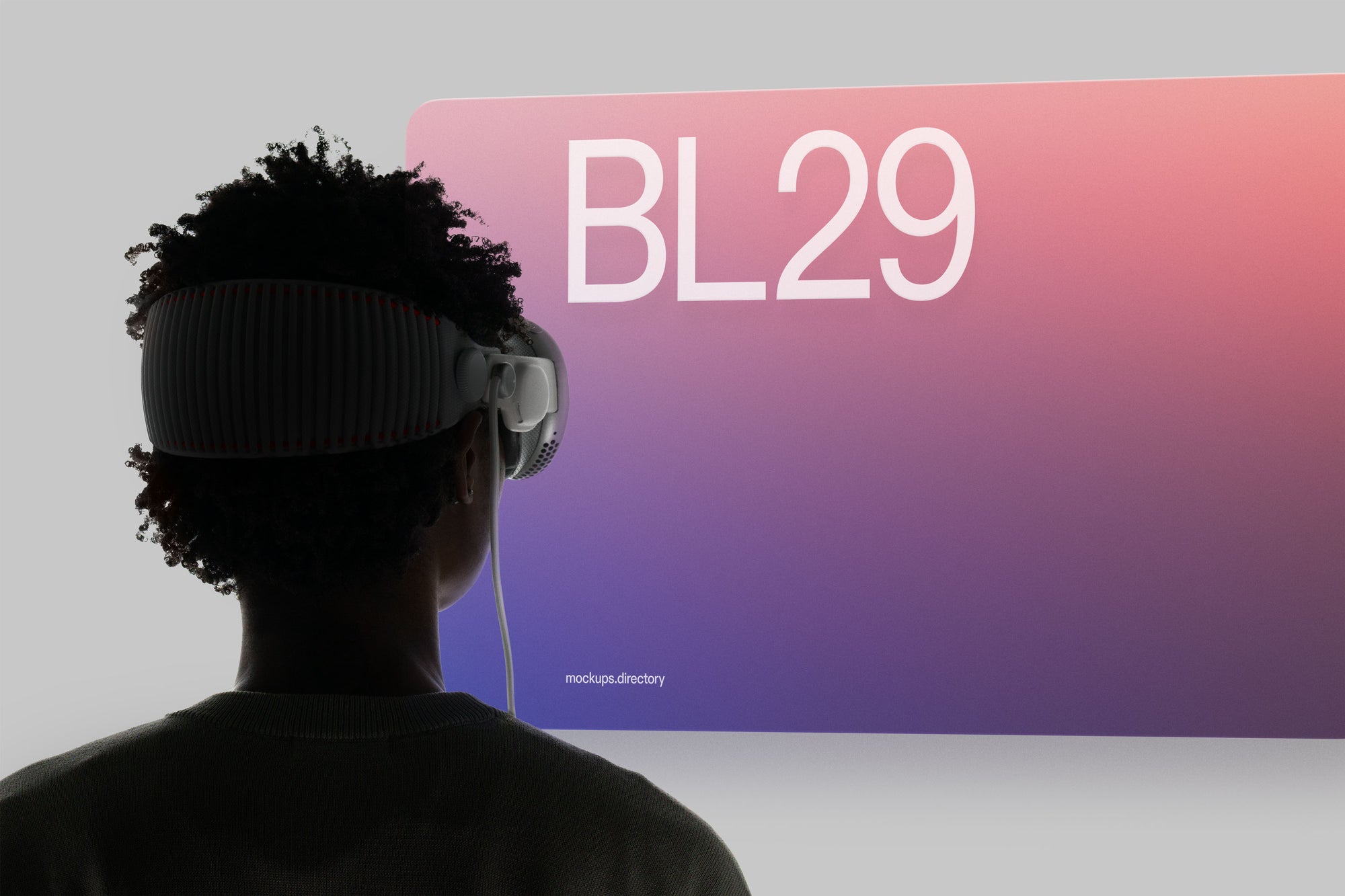 BL29 — Vision Pro