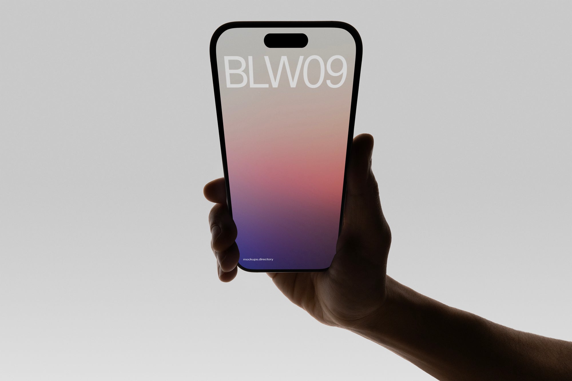 BLW09 — iPhone 16 Pro