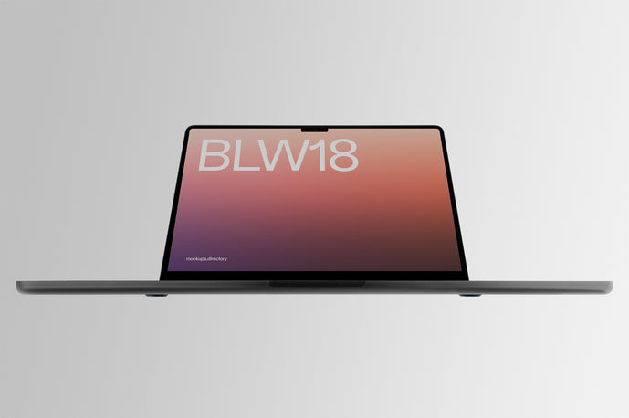 BLW18 — MacBook Pro