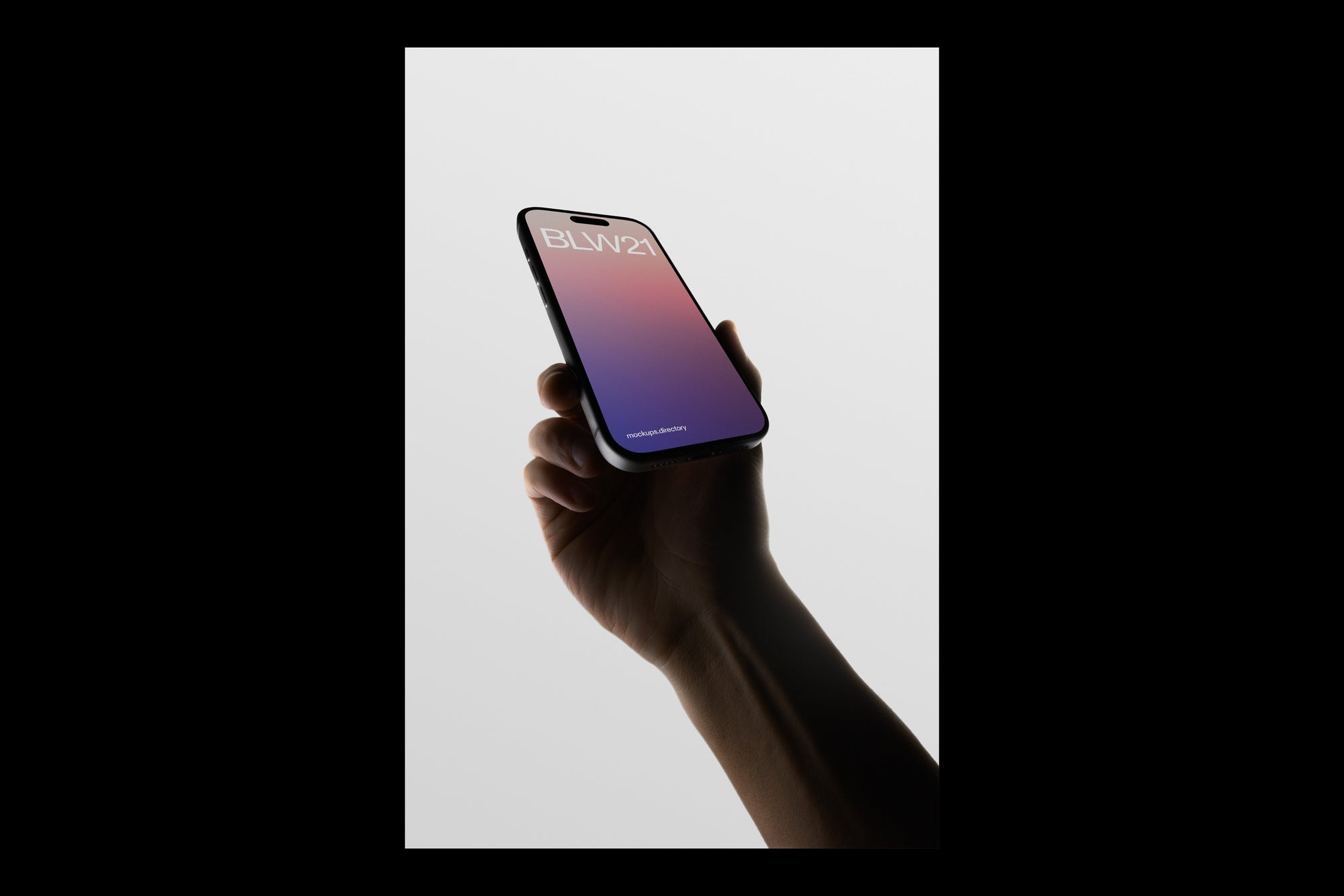 BLW21 — iPhone 16 Pro