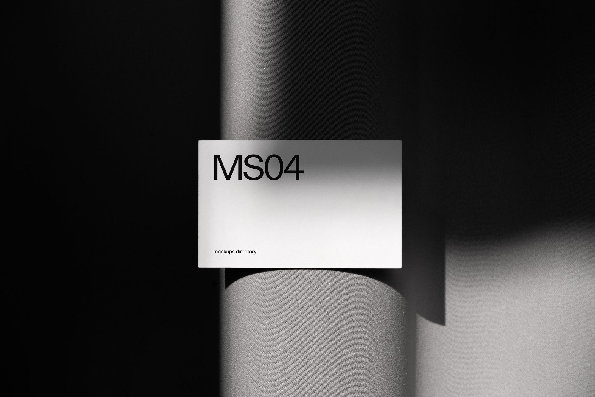 MS04 — Business Card