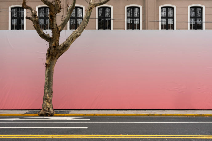 MT22 — Banner