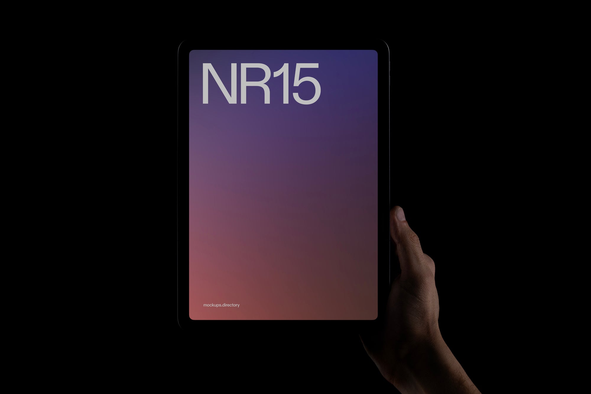 NR15 — iPad Pro