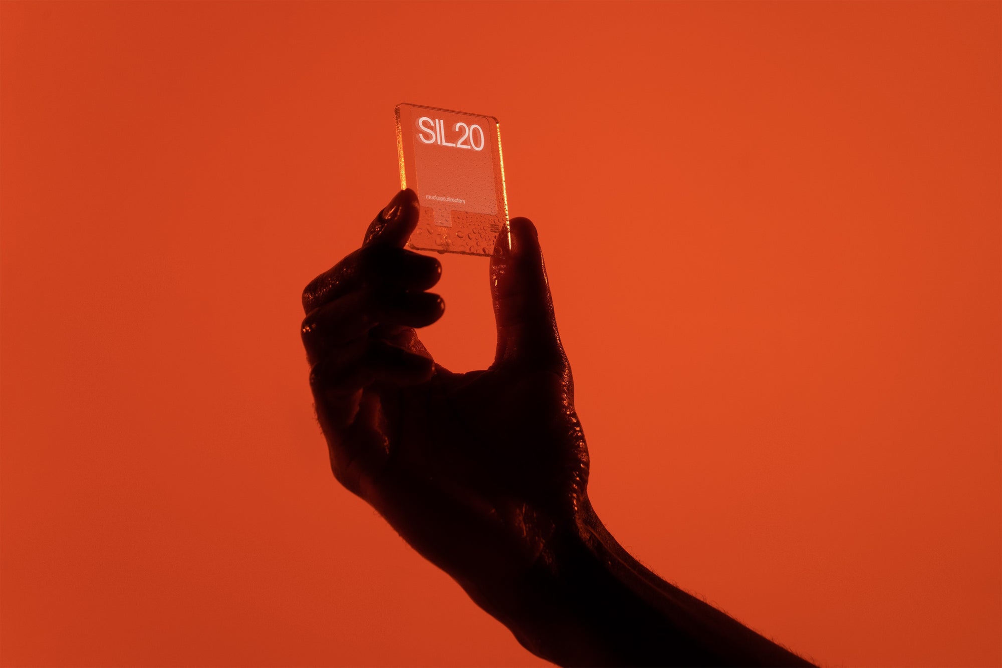 SIL20 — Digital Slide