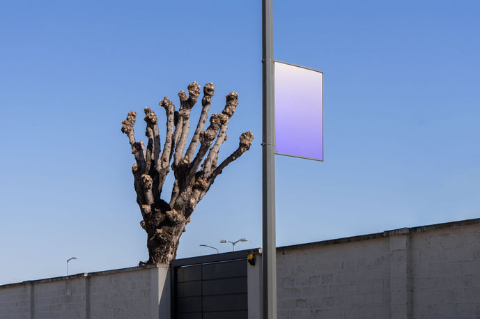 TR16 — Street Pole and Tree