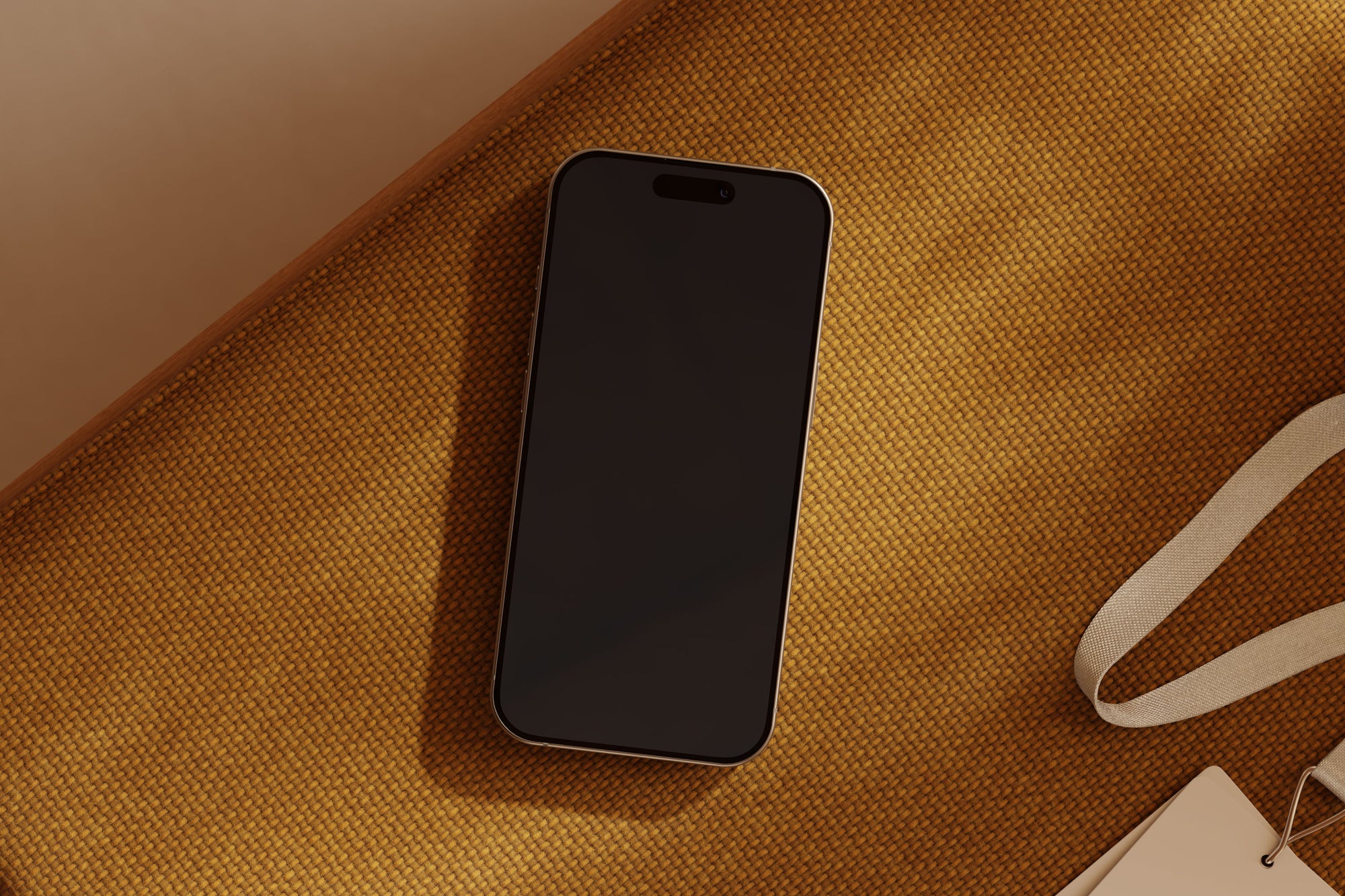 VE17 — iPhone 16 Pro