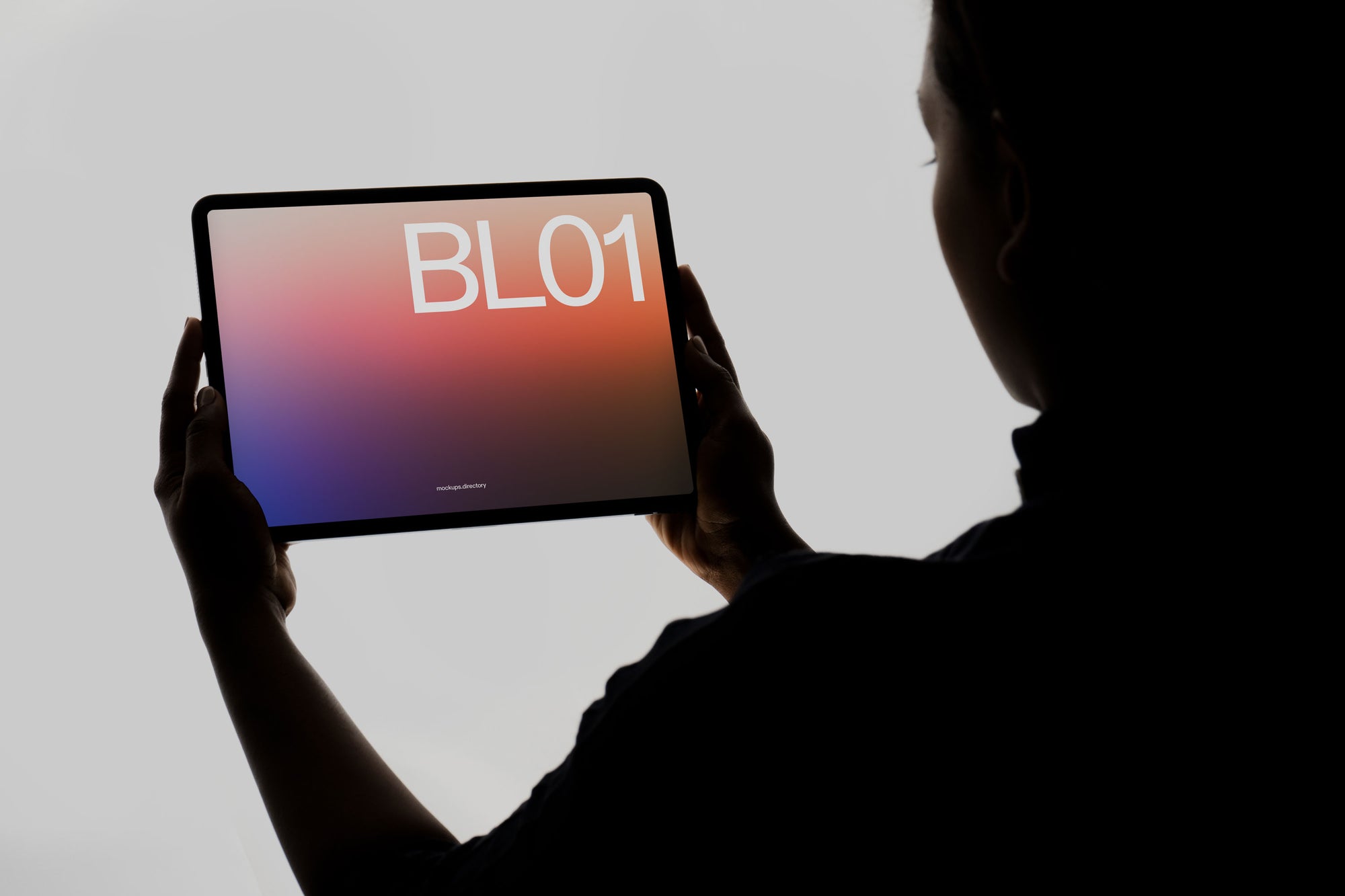 BL01 — iPad Pro