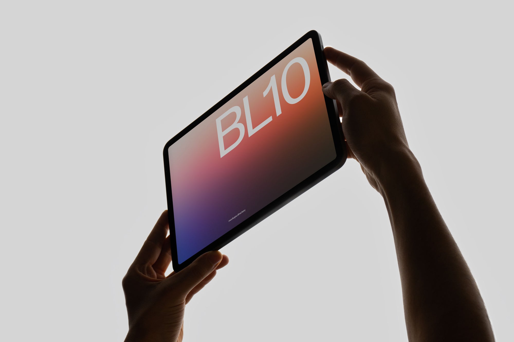 BL10 — iPad Pro