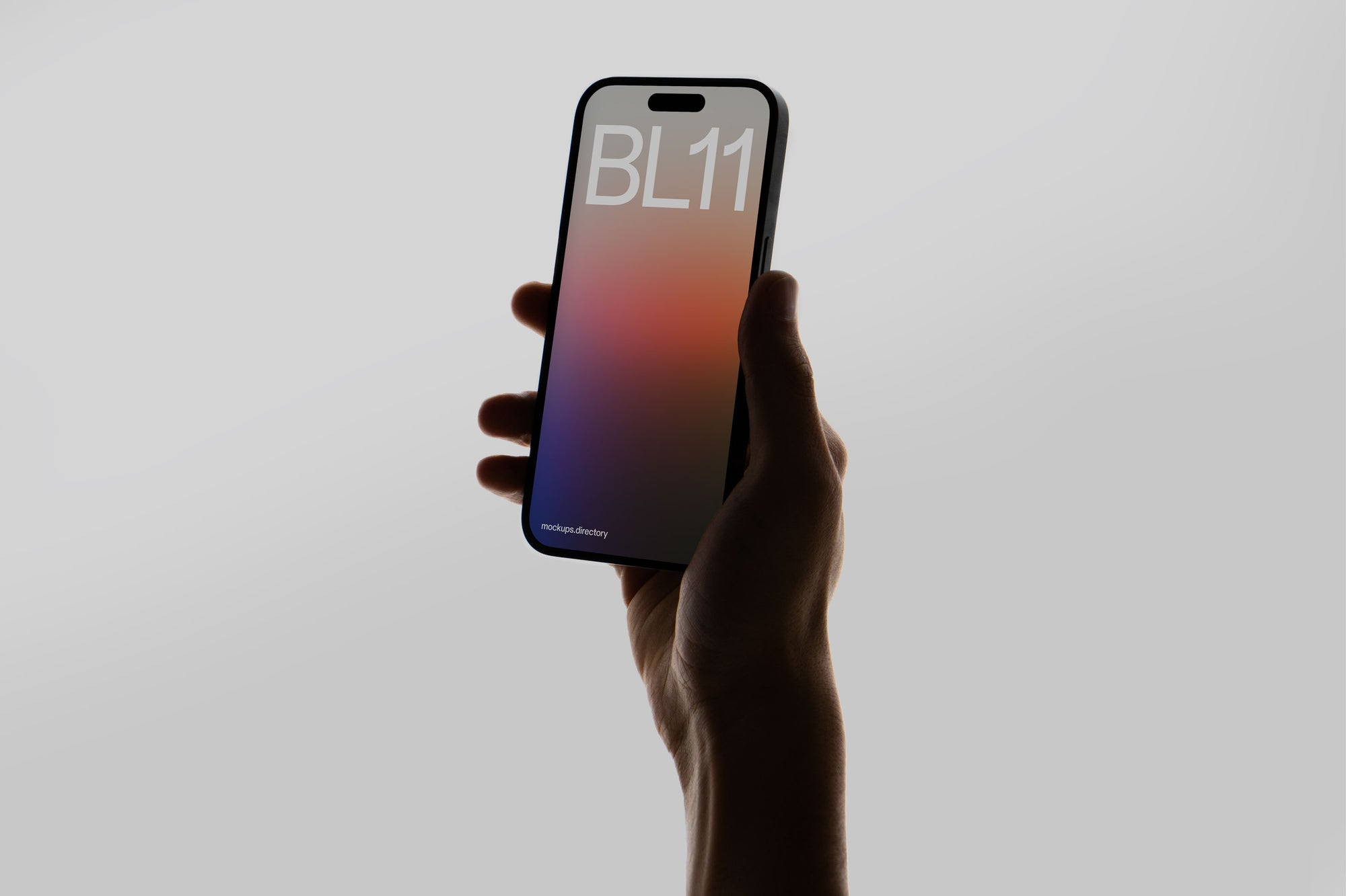 BL11 — iPhone 14 Pro