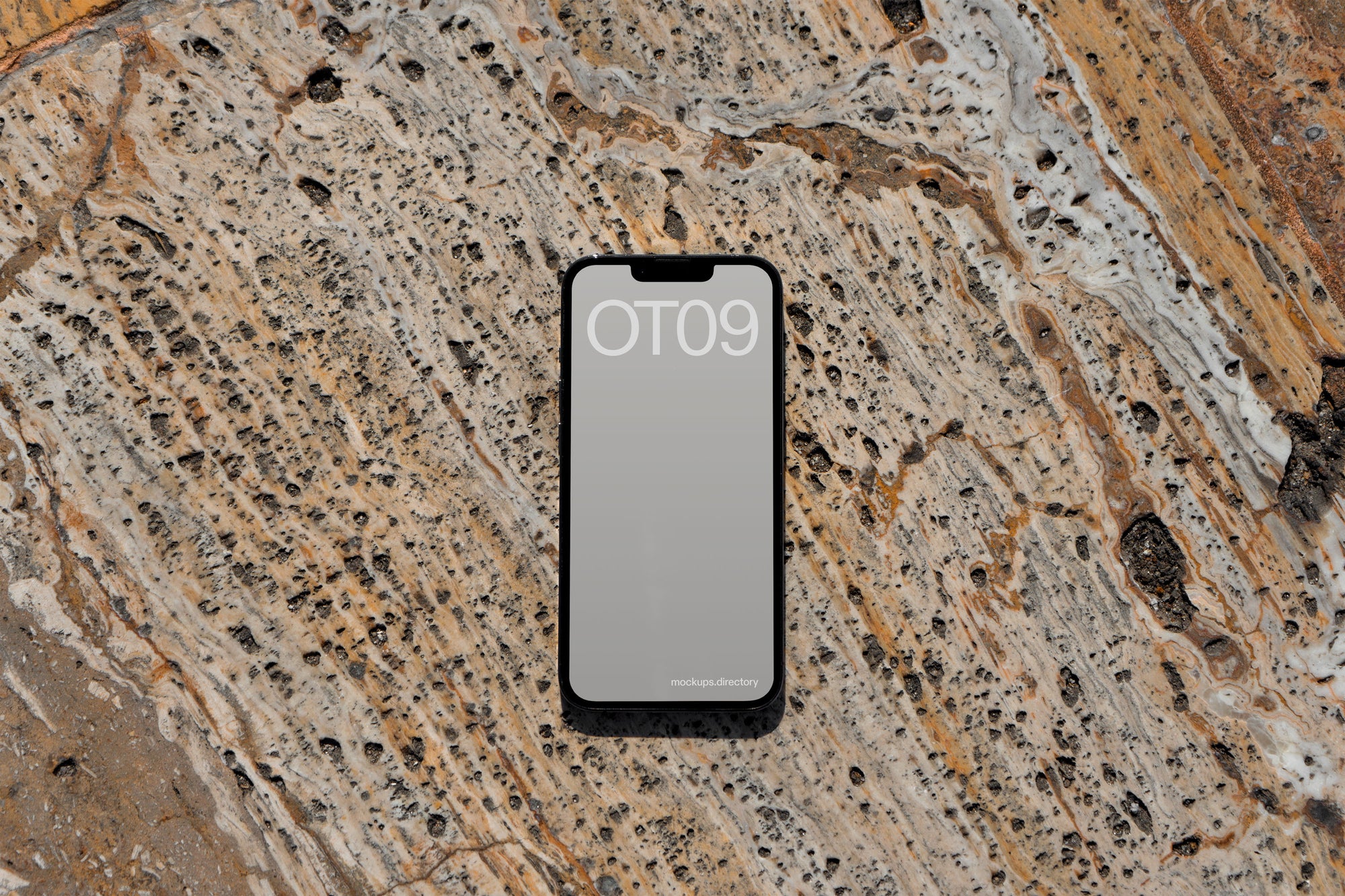 OT09 — iPhone 13 Pro