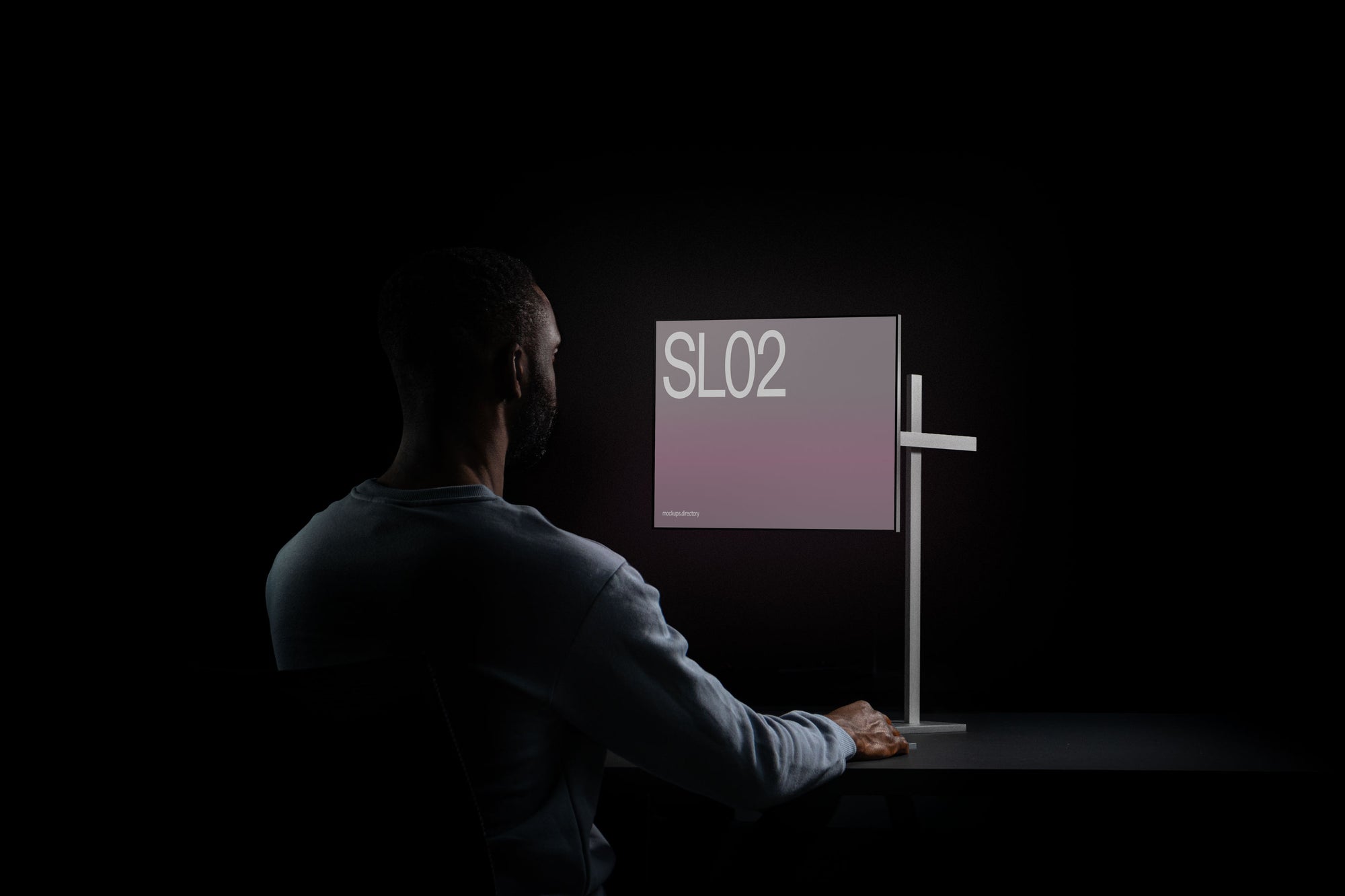 SL02 — Axis Display