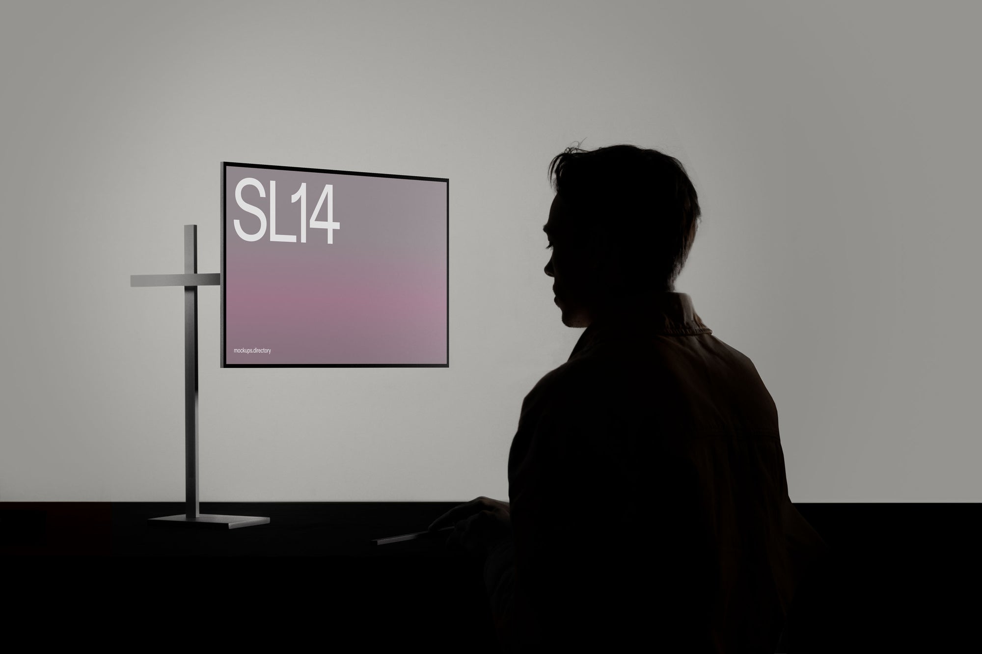 SL14 — Axis Display