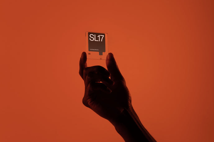 SL17 — Digital Slide